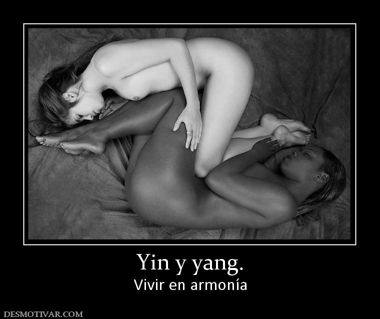 Yin y yang. Vivir en armonía