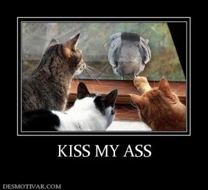 KISS MY ASS