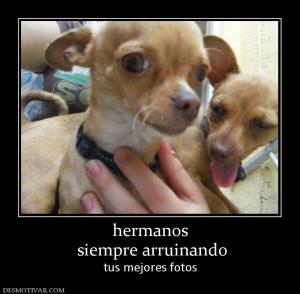 hermanos  siempre arruinando tus mejores fotos