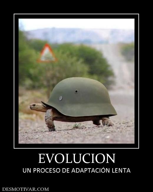 EVOLUCION UN PROCESO DE ADAPTACIÓN LENTA