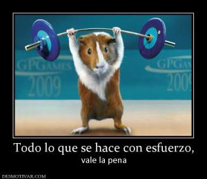 Todo lo que se hace con esfuerzo, vale la pena