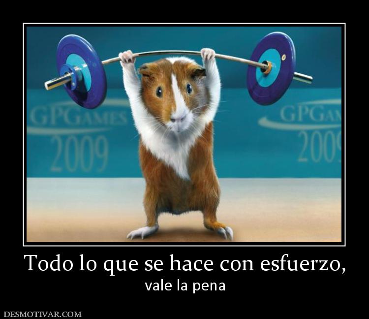 Todo lo que se hace con esfuerzo, vale la pena