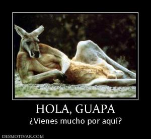 HOLA, GUAPA ¿Vienes mucho por aquí?