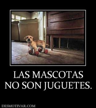 LAS MASCOTAS NO SON JUGUETES.