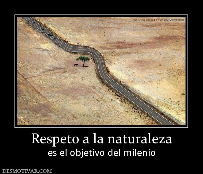 Respeto a la naturaleza es el objetivo del milenio