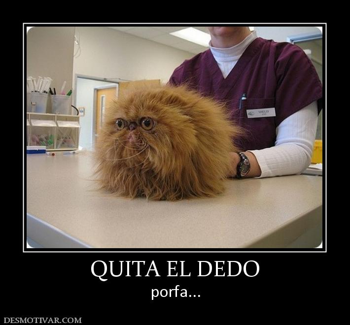 QUITA EL DEDO porfa...