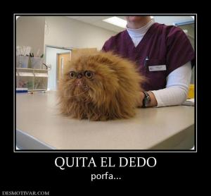 QUITA EL DEDO porfa...