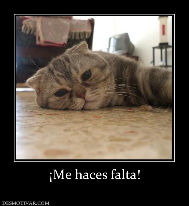 ¡Me haces falta!