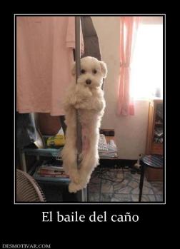 El baile del caño