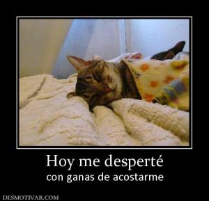 Hoy me desperté con ganas de acostarme
