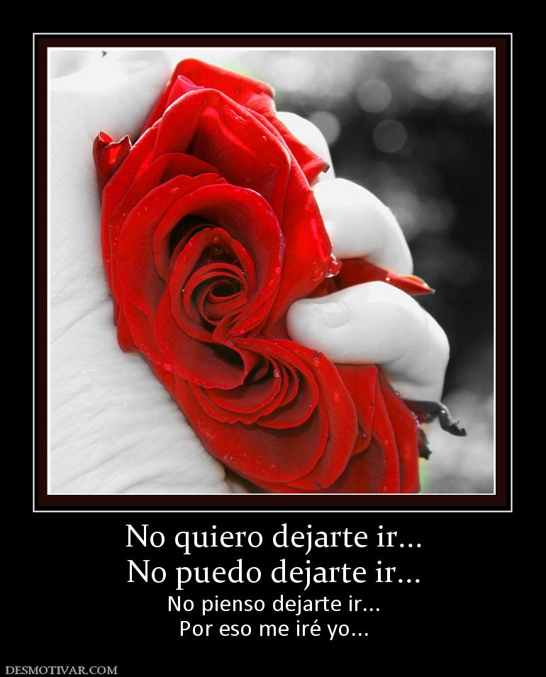 No quiero dejarte ir... No puedo dejarte ir... No pienso dejarte ir... Por eso me iré yo...
