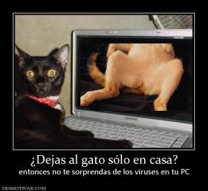 ¿Dejas al gato sólo en casa? entonces no te sorprendas de los viruses en tu PC