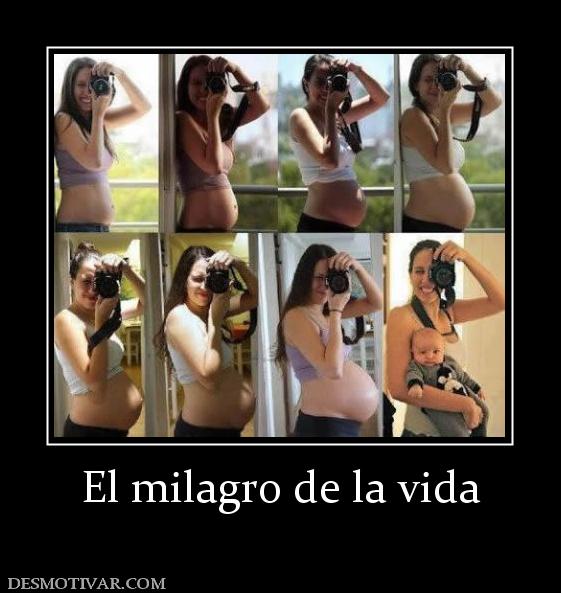 El milagro de la vida