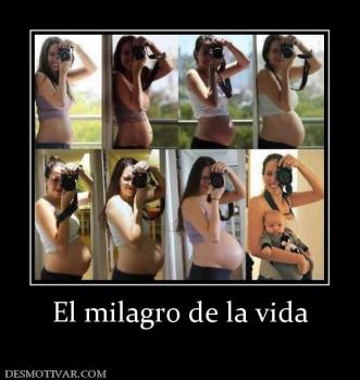 El milagro de la vida