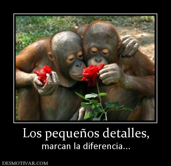 Los pequeños detalles, marcan la diferencia...