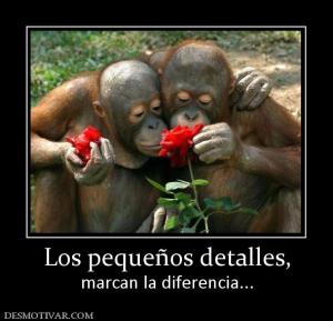 Los pequeños detalles, marcan la diferencia...