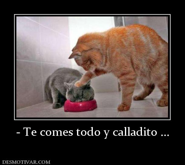 - Te comes todo y calladito ...
