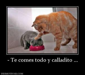 - Te comes todo y calladito ...