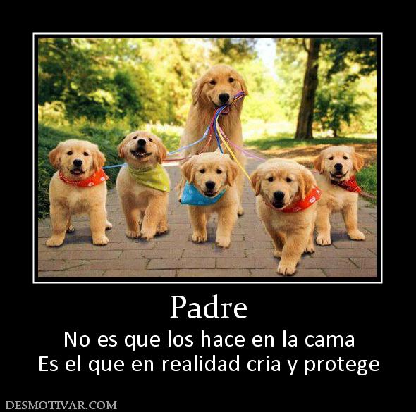Padre No es que los hace en la cama Es el que en realidad cria y protege
