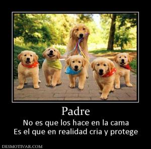 Padre No es que los hace en la cama Es el que en realidad cria y protege