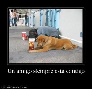 Un amigo siempre esta contigo