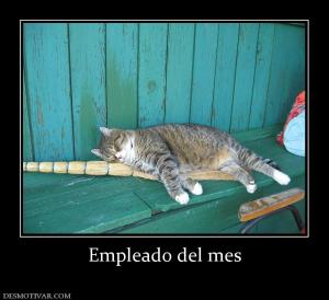 Empleado del mes