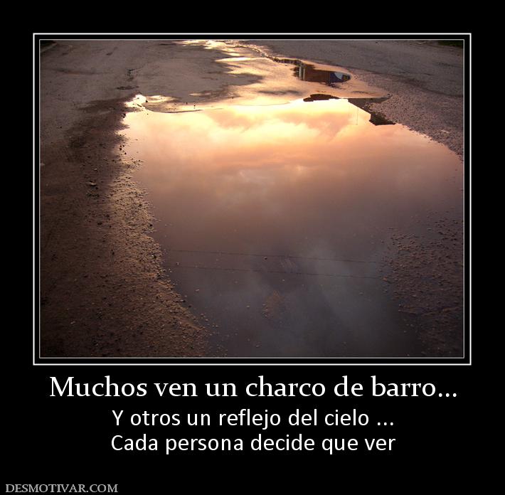 Muchos ven un charco de barro... Y otros un reflejo del cielo ... Cada persona decide que ver
