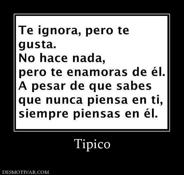 Tipico