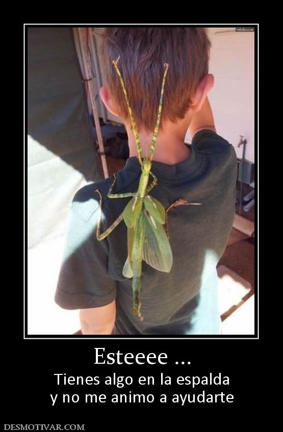 Esteeee ... Tienes algo en la espalda y no me animo a ayudarte