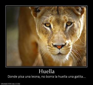 Huella Donde pisa una leona, no borra la huella una gatita...