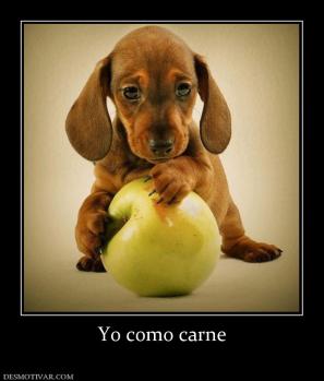 Yo como carne