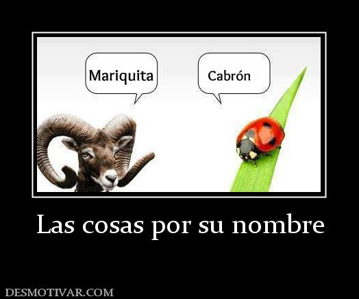 Las cosas por su nombre