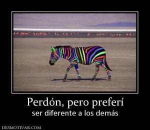 Perdón, pero preferí ser diferente a los demás