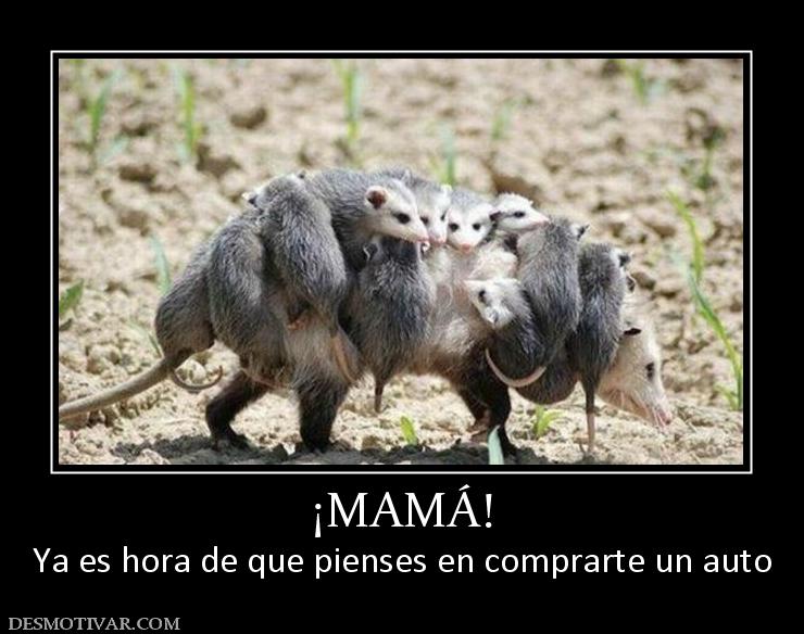 ¡MAMÁ! Ya es hora de que pienses en comprarte un auto