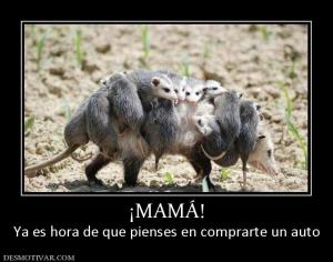 ¡MAMÁ! Ya es hora de que pienses en comprarte un auto