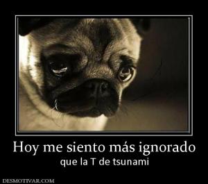 Hoy me siento más ignorado que la T de tsunami