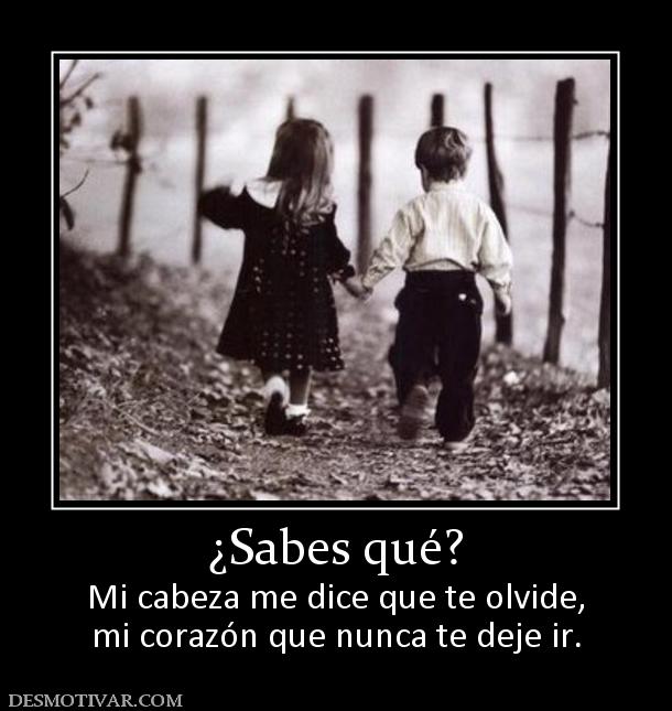 ¿Sabes qué? Mi cabeza me dice que te olvide, mi corazón que nunca te deje ir.