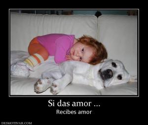 Si das amor ... Recibes amor
