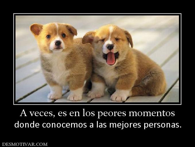 A veces, es en los peores momentos donde conocemos a las mejores personas.