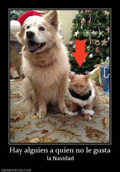 Hay alguien a quien no le gusta la Navidad