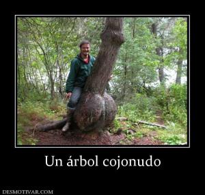 Un árbol cojonudo